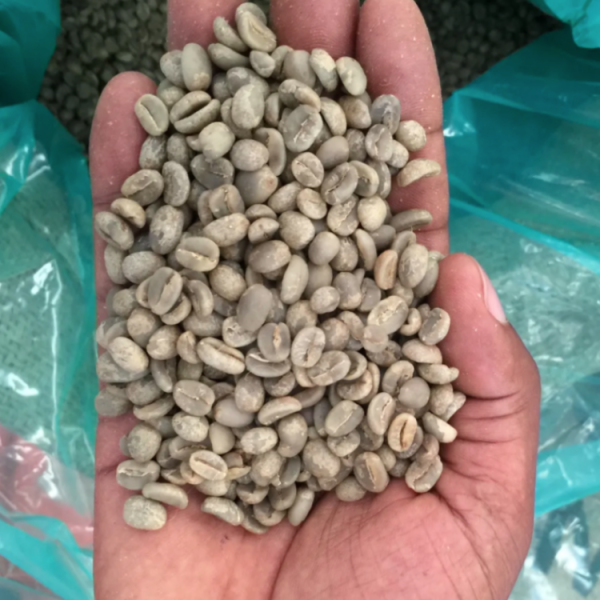 Sidamo Koffie (ሲዳሞ ቡን) 900g